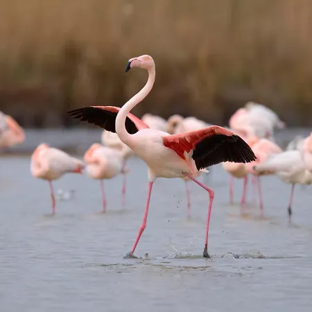 Le Cormoran-5 By Interhome Apartmán *